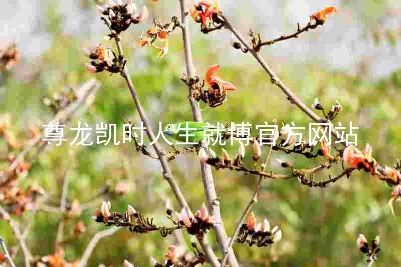 尊龙凯时人生就博官方网站